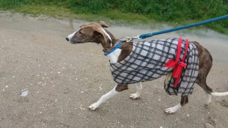 13055422 1009500169133838 7010181916558276575 n