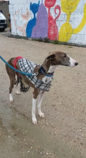 13055445 1009500195800502 627303898672183922 n