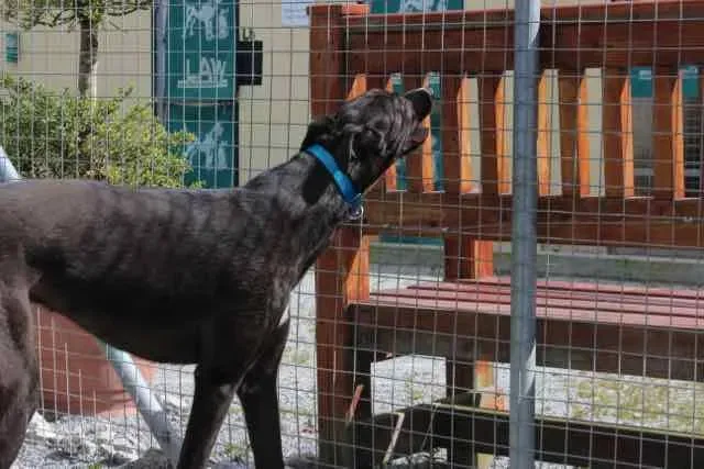 13055482 1016147078469147 1681581924885494669 n