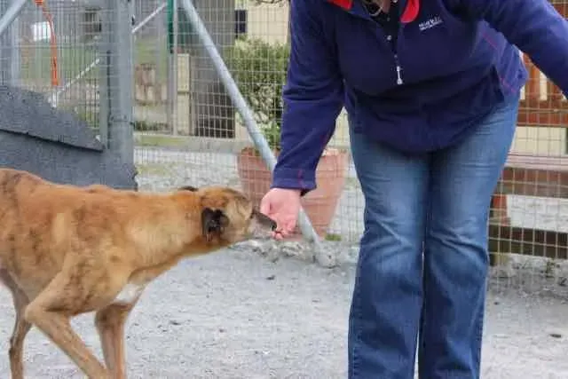 13055580 1016140925136429 2379064439074316883 n