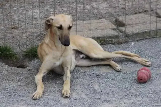 13061926 1016142858469569 1660133981734040494 n