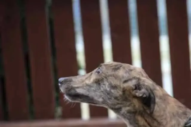 13061970 1016143508469504 4855876248444018174 n