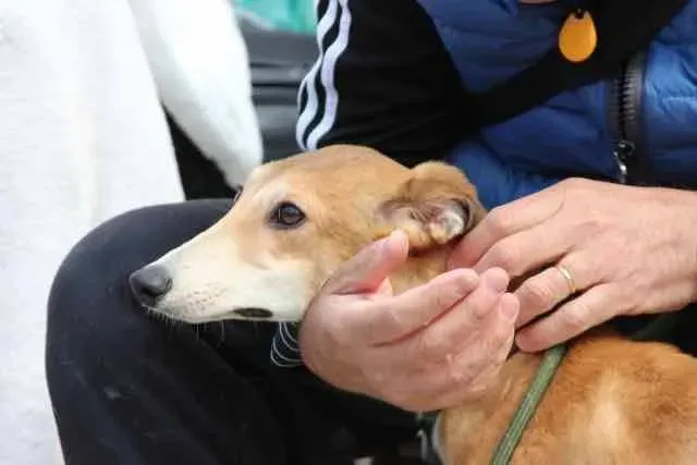 13062033 1016143195136202 585000664416087473 n