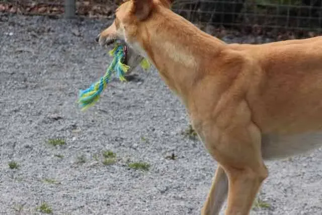 13062220 1016141851803003 51620929571767364 n