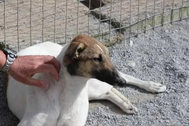 13062281 1016141541803034 8922325280688882055 n