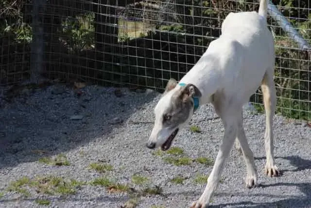 13062281 1016146815135840 1152738193515898262 n