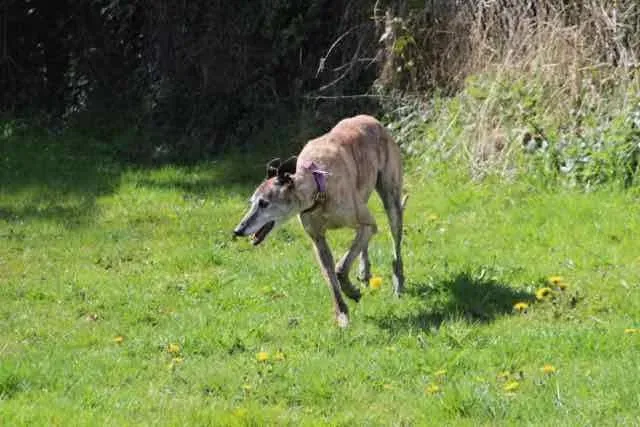 13062351 1016145055136016 1196911447708382443 n