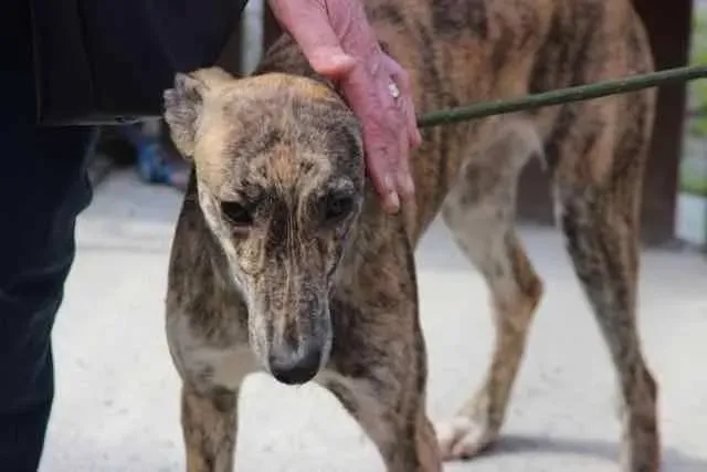 13062376 1016143655136156 7612695200570222711 n