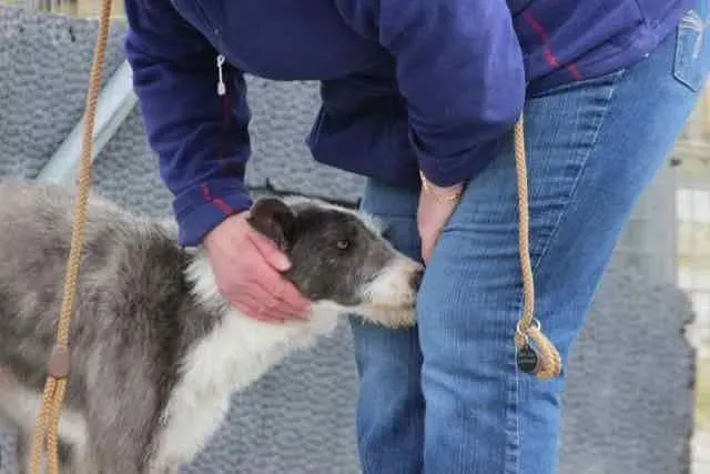 13062424 1016140678469787 5211951091288725589 n