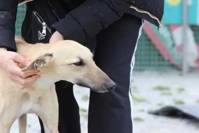 13062460 1016142608469594 448308629923061329 n