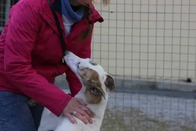 13062495 1016141061803082 2318369428609415572 n