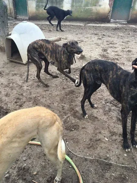 13063336 1009502095800312 1552753779580071096 o