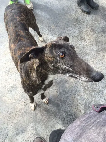 13063450 1009501329133722 529781067098704117 o