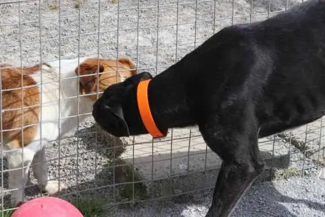 13076701 1016147301802458 8121958722145816005 n