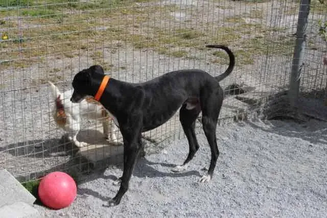 13076701 1016147311802457 6607016118228499295 n