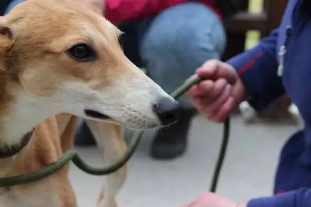 13076742 1016142975136224 4425512948548636002 n