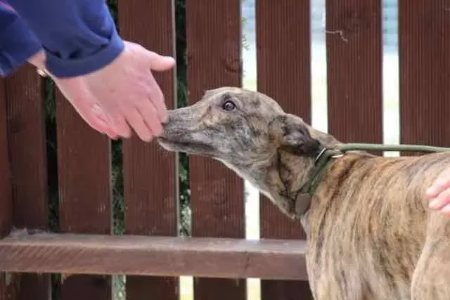 13076749 1016143578469497 2702641959361649875 n