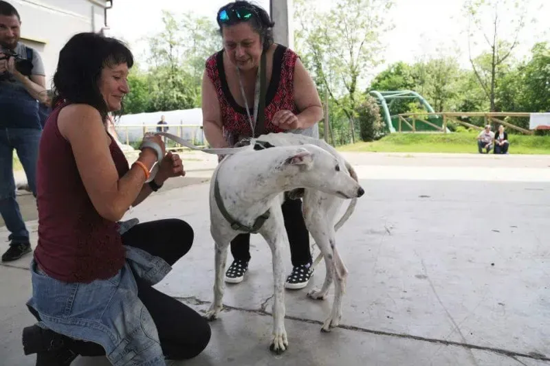 13076826 10207895016386022 3165132278777081731 n