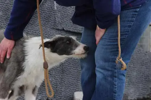 13076828 1016140661803122 8283161948015069012 n