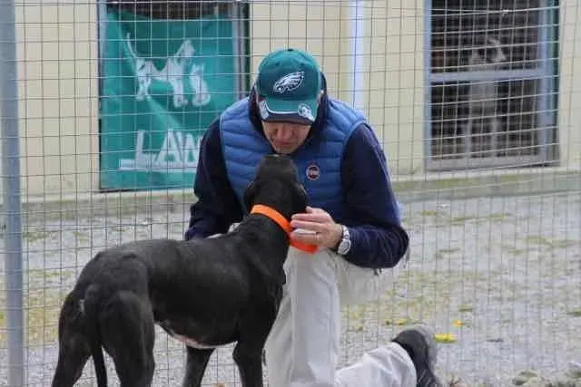 13076976 1016147495135772 7858073744500340737 n