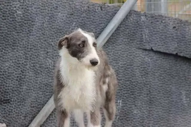 13077017 1016140651803123 1583004707310270836 n