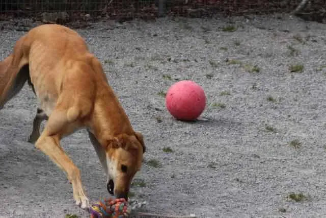 13077079 1016138878469967 7060916506688150076 n