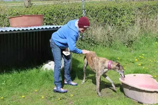 13082488 1016145221802666 4125408470399735070 n