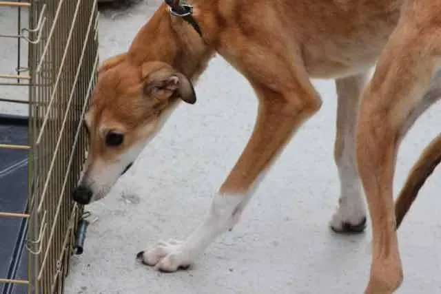 13082587 1016143095136212 3964614435655681923 n