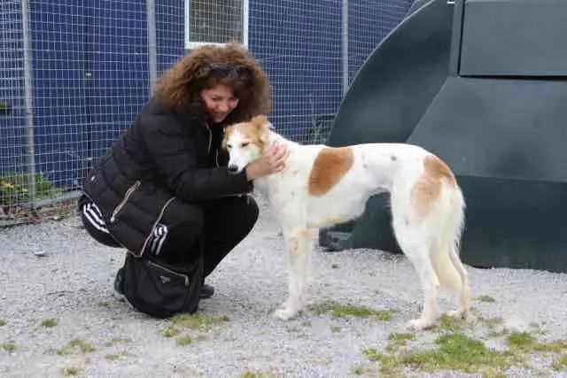 13082587 1016143958469459 2726991168569417241 n