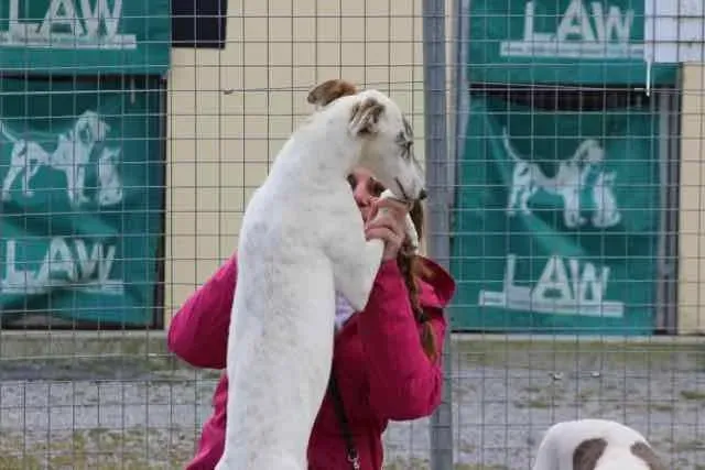 13082593 1016141251803063 4402955304525284350 n