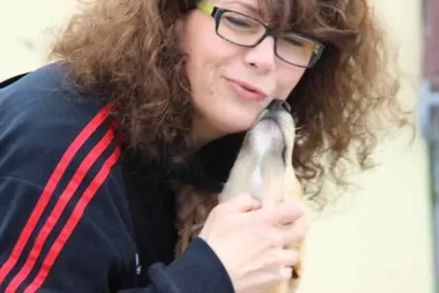 13082620 1016140121803176 7466399449017268555 n