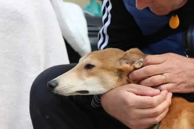 13082680 1016143261802862 5533282633904792821 n