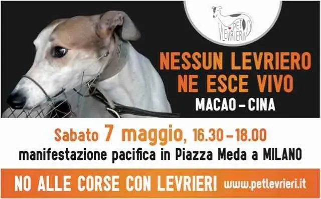 13082703 1036526913105578 1963944571361911112 n