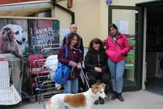 13083270 1016144058469449 9122031119849248517 n