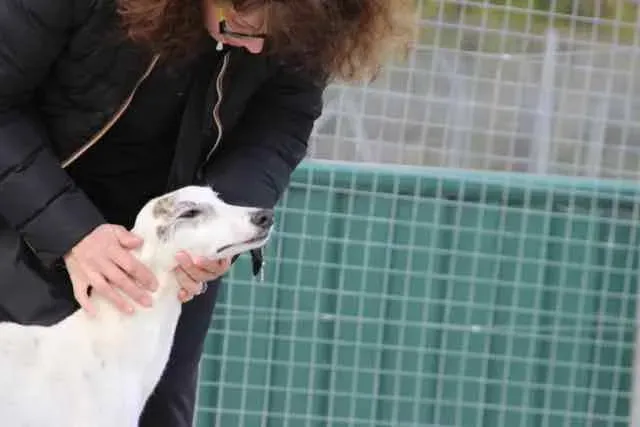 13083296 1016141161803072 8560583610233812577 n