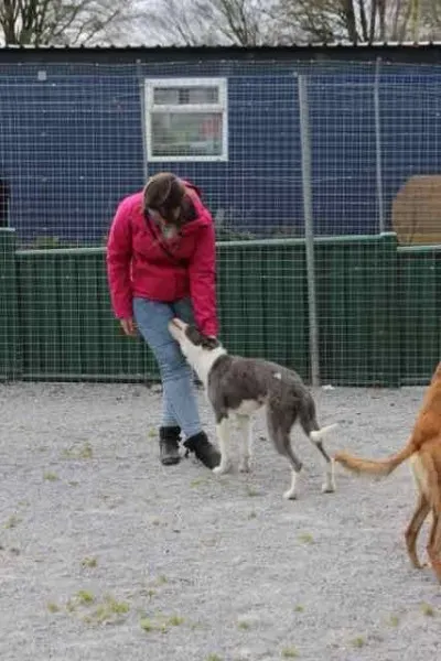 13087308 1016140841803104 5880564020386030652 n