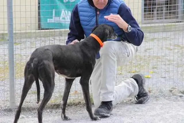 13087308 1016147451802443 4561596533446139026 n