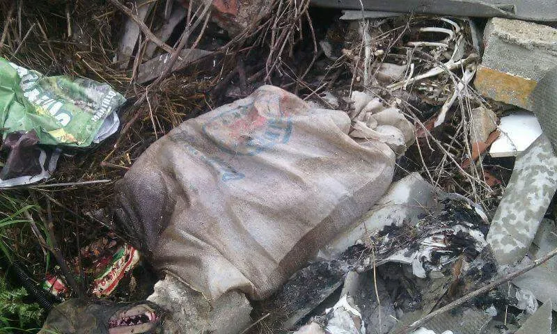 13087333 10206263107362885 7120773117555508662 n