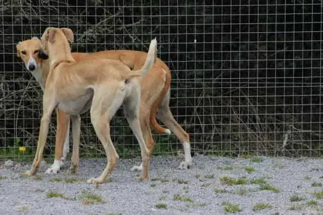 13087334 1016142715136250 4225096846467373274 n