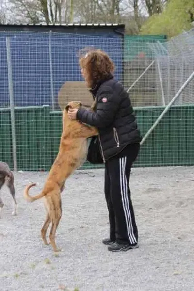 13087379 1016140791803109 7907648504221283134 n