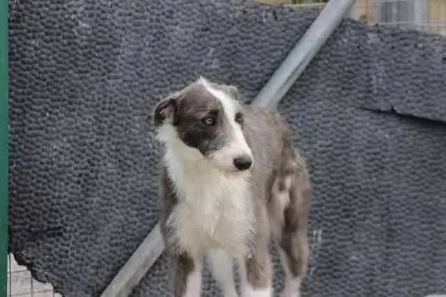 13087412 1016140565136465 1400575701554856208 n