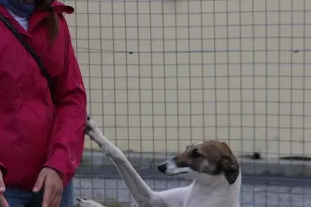 13087691 1016141118469743 589304484987253812 n