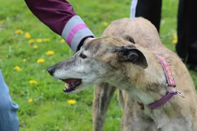 13087719 1016145345135987 4898886937514998368 n