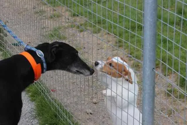 13087806 1016147438469111 2009328673409314530 n