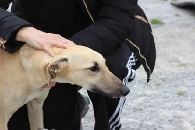 13087838 1016142451802943 4939700704457652395 n