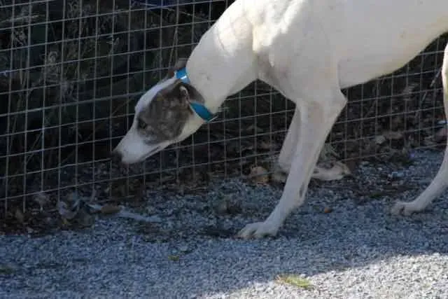 13087847 1016146895135832 3996962642321414973 n