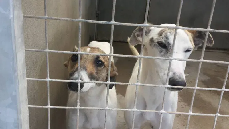 13087875 923500891081038 9042303243727159940 n 1