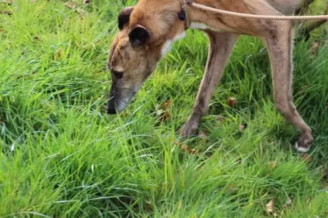 13091917 1016140418469813 7794295717568139900 n