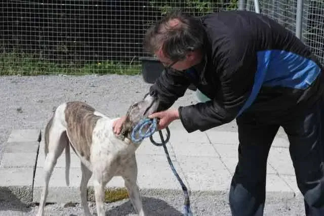 13091998 1016148131802375 8836076823355650924 n