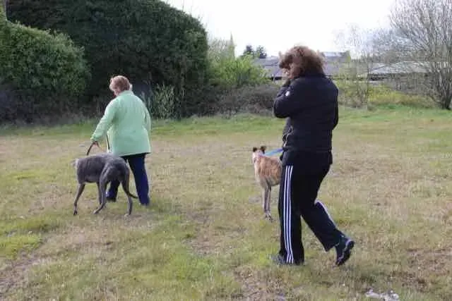 13092018 1016144971802691 1040547381463293024 n